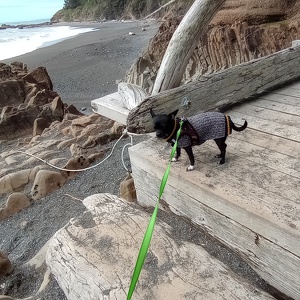 Fundraising Page: Christy Reedy